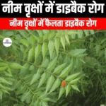नीम वृक्षों में डाइबैक रोग (Dieback disease in Neem trees) | UPSC
