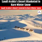 Saudi Arabia Desert Blanketed in Rare Winter Snow