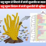 धातु प्रदूषण से निपटने में स्पंजी सूक्ष्मजीव का महत्व (Importance of spongy microbes in combating metal pollution) | UPSC
