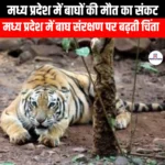 मध्य प्रदेश में बाघों की मौत का संकट (Madhya Pradesh faces tiger death crisis) | UPSC Preparation
