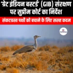 ग्रेट इंडियन बस्टर्ड के संरक्षण पर सुप्रीम कोर्ट का निर्देश (Supreme Court directive on conservation of Great Indian Bustard) | Ankit Avasthi Sir