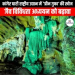 कांगेर घाटी राष्ट्रीय उद्यान में ग्रीन गुफा की खोज (Discover the Green Cave in Kanger Ghati National Park) | Ankit Avasthi Sir