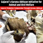 Gujarat Karuna Abhiyan Initiative for Animal and Bird Welfare