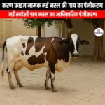 करण फ्राइज नामक नई नस्ल की गाय का पंजीकरण (Registration of new breed of cow named Karan Fries) | UPSC Preparation
