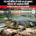 गंगा नदी बेसिन में गंभीर रूप से लुप्तप्राय घड़ियाल की जनसंख्या स्थिति (Population status of the critically endangered gharial in the Ganga river basin) | UPSC