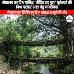 मेघालय का विश्व प्रसिद्ध जीवित जड़ पुल यूनेस्को की विश्व धरोहर स्थल हेतु नामांकित (Meghalaya world-famous living root bridge nominated for UNESCO World Heritage Site) | UPSC