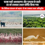 पटना पक्षी अभयारण्य और गुजरात के छारी-ढंड को रामसर स्थल घोषित किया गया (Patna Bird Sanctuary and Chhari-Dhand in Gujarat declared Ramsar sites) | UPSC