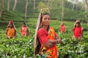 3% special quota approved for tea tribes and tribal communities in Assam
