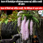केरल में डिप्लोसेंट्रम पपिलोसम नामक नई ऑर्किड प्रजाति की खोज (New orchid species named Diplocentrum papillosum discovered in Kerala) | Apni Pathshala