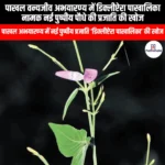 पाखल वन्यजीव अभयारण्य में डिक्लीप्टेरा पाखालिका नामक नई पुष्पीय पौधे की प्रजाति की खोज (New flowering plant species Dicliptera pakhalica discovered in Pakhal Wildlife Sanctuary) | UPSC