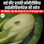 नई कीट प्रजाति कॉन्टैरीनिया आईसीार्डिफ्लोरेस की खोज (Discovery of new insect species Contarinia icardiflorus) | UPSC