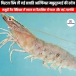 पिस्टल श्रिंप की नई प्रजाति आल्फियस मधुसूदनाई की खोज (Discovery of a new species of pistol shrimp Alpheus madhusudanai) | UPSC