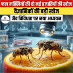 फल मक्खियों की दो नई प्रजातियों की खोज (Two new species of fruit flies discovered) | Ankit Avasthi Sir