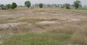 Balirajgarh Site Excavation