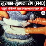  खुरपका-मुँहपका रोग (foot and mouth disease) | UPSC