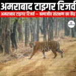 अमराबाद टाइगर रिजर्व (Amrabad Tiger Reserve) | Apni Pathshala