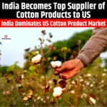 India Becomes Top Supplier of Cotton Products to US