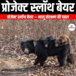 प्रोजेक्ट स्लॉथ बेयर (Project Sloth Bear) | UPSC Preparation