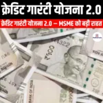क्रेडिट गारंटी योजना 2.0 (Credit Guarantee Scheme 2.0) | Apni Pathshala
