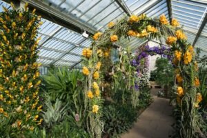 Indian Orchid Festival 2026