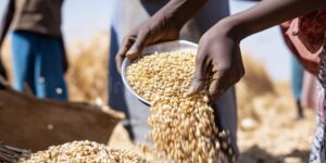 IIED Food Security Index 2026