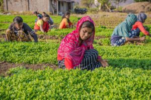 Krishi Sakhi Initiative