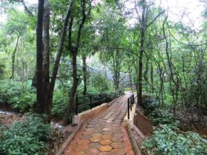 Debrigarh Wildlife Sanctuary