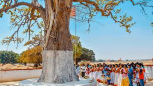 Sarhul Festival