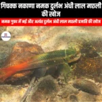 गिचक्क नकाणा नमक दुर्लभ अंधी लाल मछली की खोज (Discovery of rare blind red fish called Gichakk Nkana) | Ankit Avasthi Sir