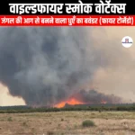 वाइल्डफायर स्मोक वोर्टेक्स (Wildfire Smoke Vortex) | UPSC Preparation