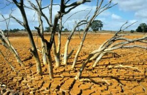 Emerging Super El Niño Risk