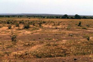 Land Use and Land Cover Mapping