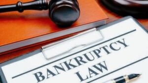 Insolvency and Bankruptcy Code Amendment Bill 2025