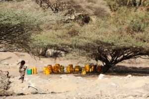 Scientists Warn of Super El Niño Risk 