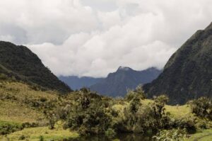 Five-Year Biodiversity Management Project