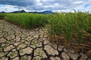 Super El Niño 2026-27