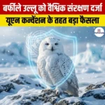 बर्फीले उल्लू को यूएन कन्वेंशन के तहत वैश्विक संरक्षण दर्जा