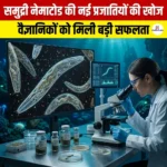 समुद्री नेमाटोड की नई प्रजातियों की खोज