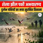 शेखा झील पक्षी अभयारण्य