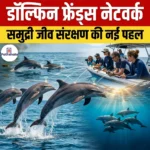 डॉल्फिन फ्रेंड्स नेटवर्क