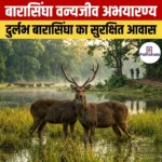 बारासिंघा वन्यजीव अभयारण्य