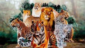 International Big Cat Alliance