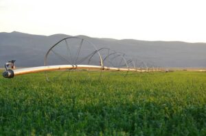 Mahe Tokpo-Raldhaho Irrigation Canal