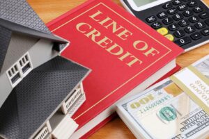 Emergency Credit Line Guarantee Scheme 5.0