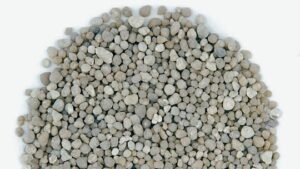 di-ammonium phosphate