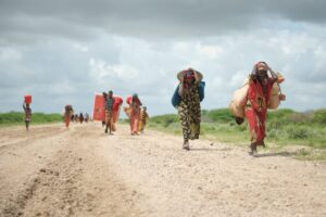 World Migration Report 2026