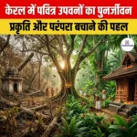 केरल में पवित्र उपवनों के पुनर्जीवन हेतु प्रायोगिक कार्यक्रम