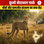 कूनो नेशनल पार्क