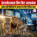 इंटरनेशनल बिग कैट अलायंस