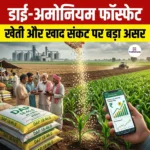 डाई-अमोनियम फॉस्फेट
